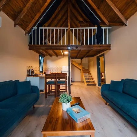 Varuna Evleri Villa Sapanca